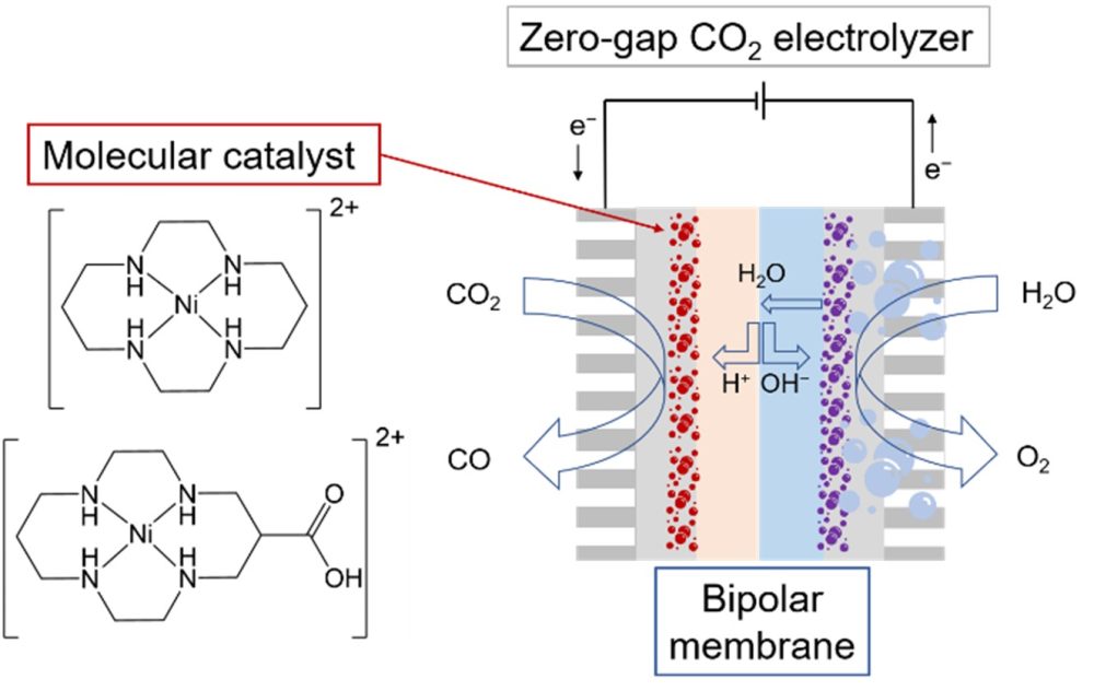 New electrolyzer design for CO2 reduction